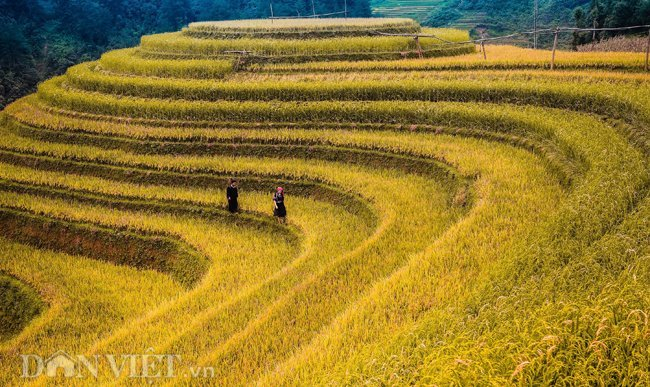 Hình ảnh, phong cảnh, thiên nhiên Việt Nam đẹp đến nao lòng. Bức ảnh này sẽ giúp bạn trải nghiệm vẻ đẹp riêng biệt của từng vùng miền, từ dãy Hoàng Liên Sơn tới vịnh Hạ Long hay đất trời miền Tây sông nước.