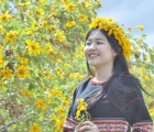 Gia Lai khai hội 'Tuần lễ hoa dã quỳ - núi lửa Chư Đang Ya năm 2022'