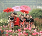 Say đắm trong muôn sắc hoa tại Lễ hội hoa hồng Fansipan
