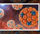 Hiểu đúng về tiêm chủng HPV ở nam và nữ