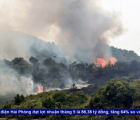 Quảng Ninh: Cháy rừng khiến hai người dân tử vong 