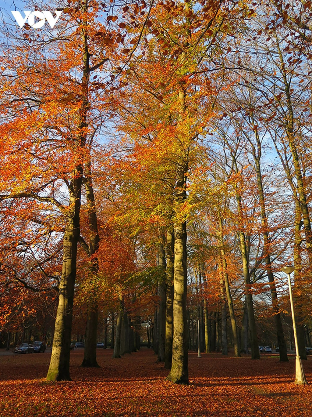 Chiêm ngưỡng phong cảnh mùa thu hữu tình tại Bỉ - VOV Du lịch - Trang tin  tức của Truyền hình VOVTV