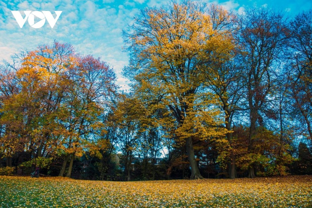 Chiêm ngưỡng phong cảnh mùa thu hữu tình tại Bỉ - VOV Du lịch - Trang tin  tức của Truyền hình VOVTV