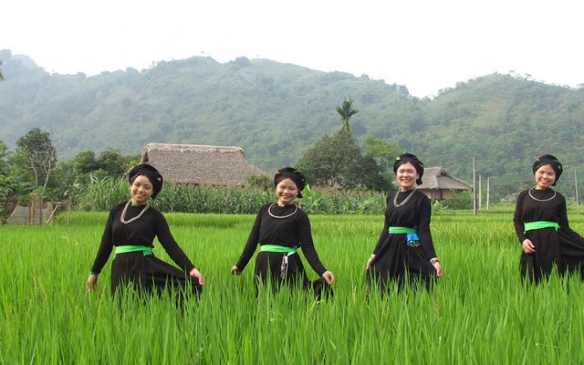 Du lịch quê hương: Quê hương là tâm hồn của người dân Việt Nam. Chuyến du lịch quê hương sẽ đưa bạn đến những cảnh đẹp, nơi bạn có thể tìm hiểu lịch sử cũng như văn hóa dân tộc. Đừng bỏ lỡ cơ hội khám phá quê hương một lần trong đời.