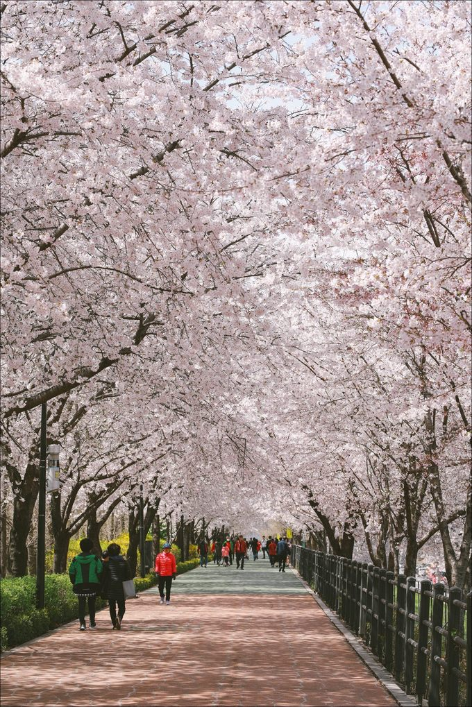 Hàn Quốc Hình ảnh Sơn môn Cổ tự mùa thu