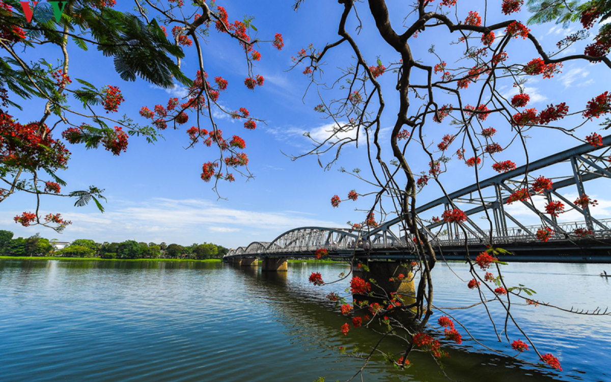 Huế - Thành phố của những sắc hoa - Kênh truyền hình Đài Tiếng nói Việt Nam - VOVTV