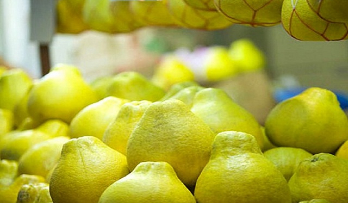 Ngọt lành 3 đặc sản trái cây ở Hậu Giang - VOV Du lịch - Trang tin tức của  Truyền hình VOVTV