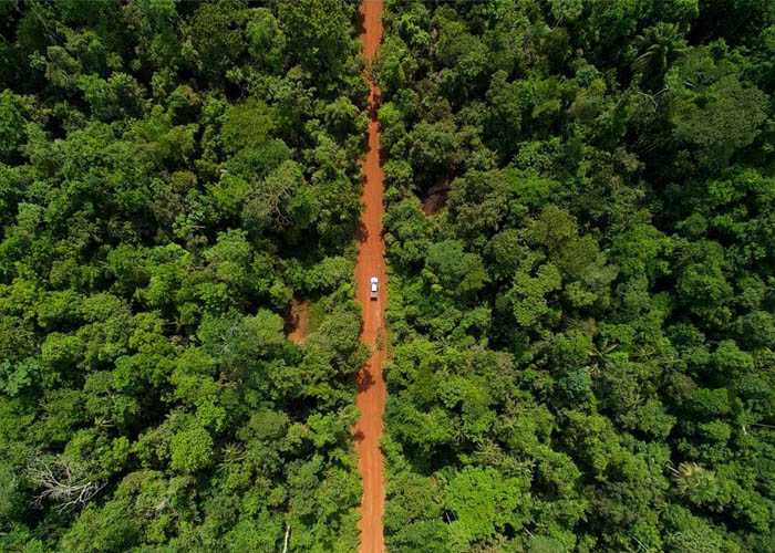Vẻ đẹp của rừng Amazon trước trận cháy kỷ lục - VOV Du lịch - Trang tin tức  của Truyền hình VOVTV