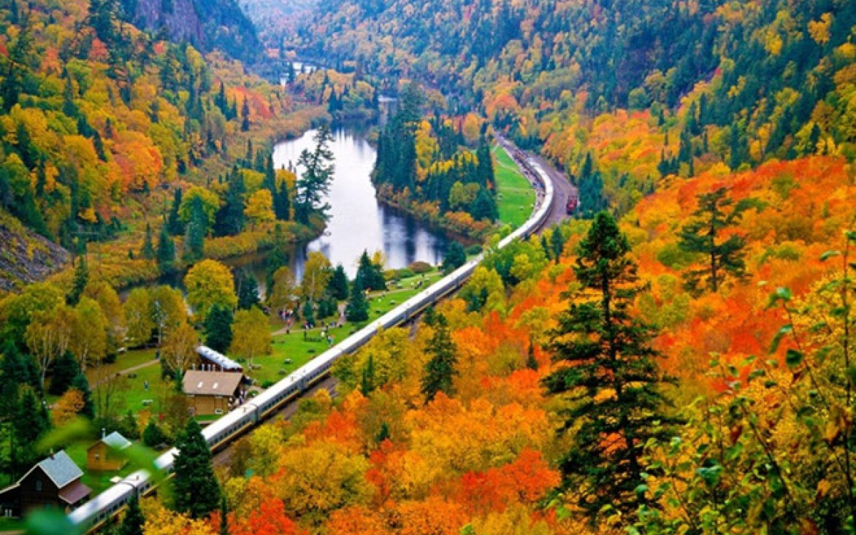 Canada mùa thu đẹp như tranh vẽ với lá phong vàng rơi - VOV Du lịch - Trang  tin tức của Truyền hình VOVTV