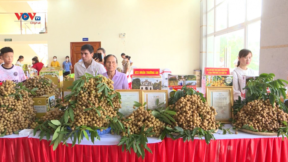 Hội nghị xúc tiến tiêu thụ nhãn và nông sản tỉnh Hưng Yên năm 2022