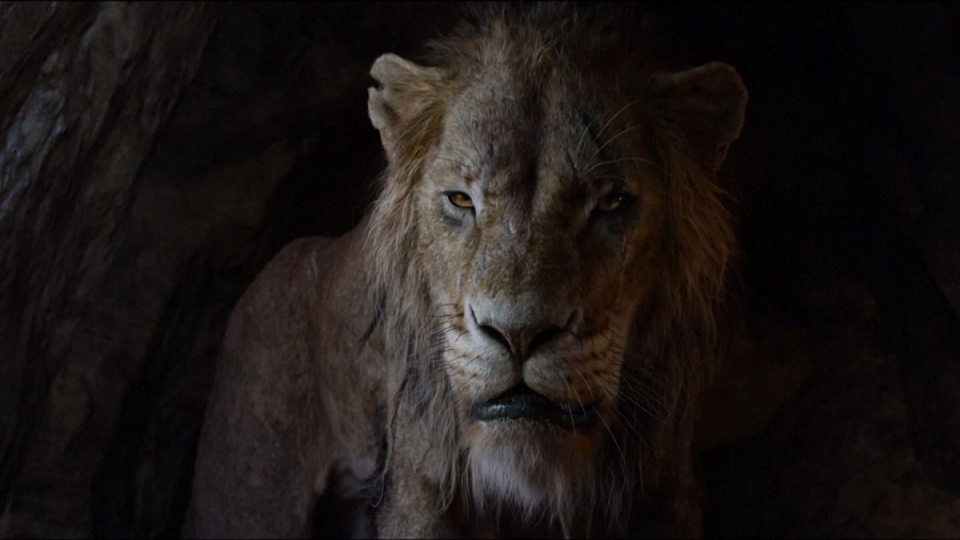 Lion King phiên bản người đóng ra mắt trailer mới trước khi ra mắt vào tháng 7/2019