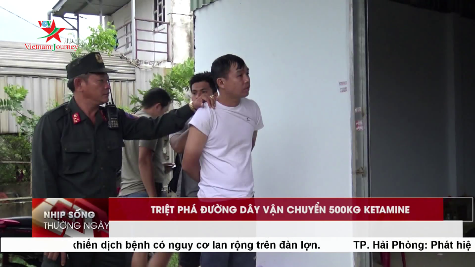 Bản tin Nhịp sống thường ngày 12/05/2019