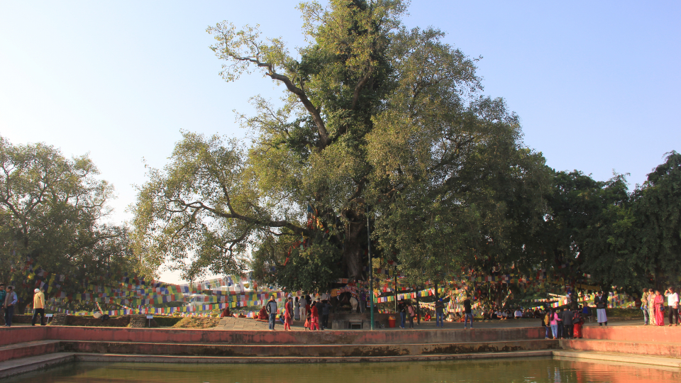 Lumbini - Nơi Đức Phật đản sinh