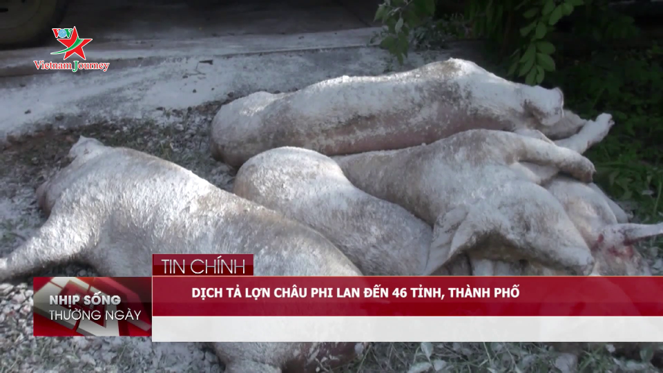 Bản tin Nhịp sống thường ngày 31/05/2019