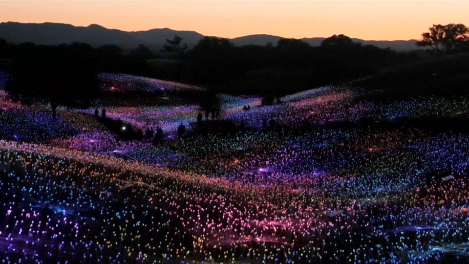 California rực sáng với hàng nghìn bóng đèn nhiều màu sắc