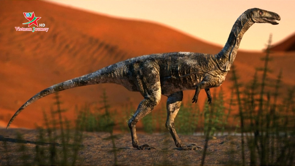 Phát hiện hóa thạch loài khủng long ăn thịt mới tại Brazil 