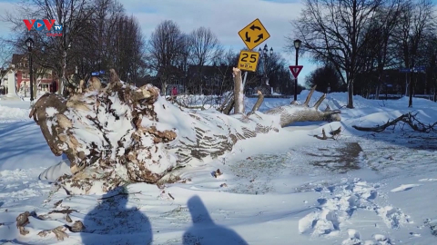 34 người thiệt mạng do bão tuyết hoành hành tại Mỹ 