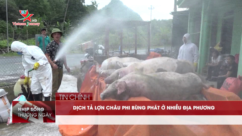 Bản tin Nhịp sống thường ngày 06/07/2019