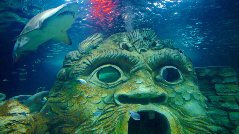 Sydney Aquarium - thế giới đại dương muôn màu
