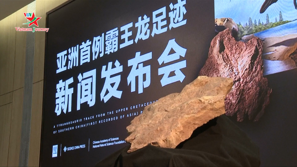 Phát hiện hóa thạch của khủng long tại tỉnh Giang Tây, Trung Quốc