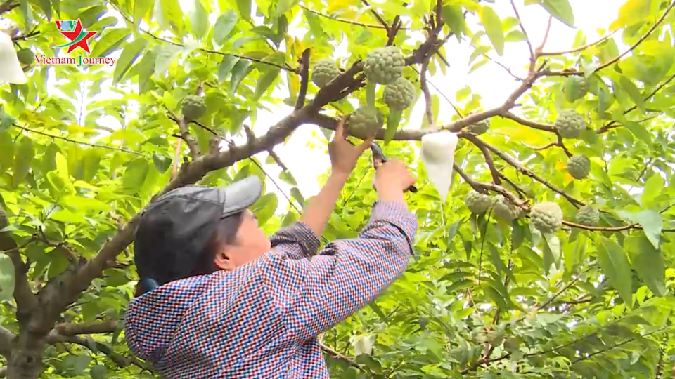 Ngày hội Na Chi Lăng 2019