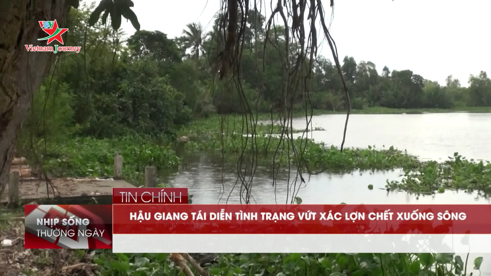 Bản tin Nhịp sống thường ngày 17/08/2019