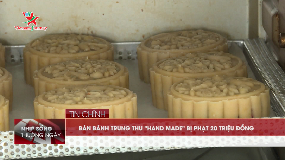 Bản tin Nhịp sống thường ngày 11/09/2019