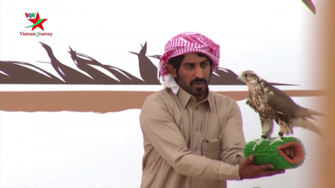 Ả Rập Xê Út tổ chức Lễ hội bảo tồn loài chim ưng