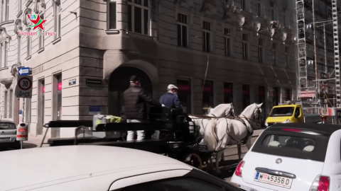 Áo: Xe ngựa kéo chở những bữa ăn miễn phí cho người dễ bị tổn thương trong dịch Covid-19