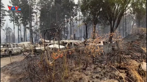 Argentina: Cháy rừng gây thiệt hại lớn tại tỉnh Chubut 