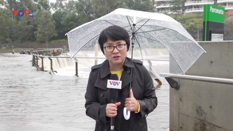 Australia: Xả hồ chứa nước làm lũ lụt thêm trầm trọng