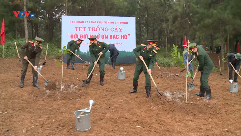 Ban quản lý Lăng Chủ tịch Hồ Chí Minh phát động Tết trồng cây năm 2022