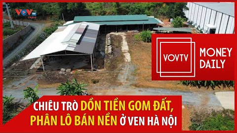 Bản tin Kinh tế - Bất động sản 11/03/2022