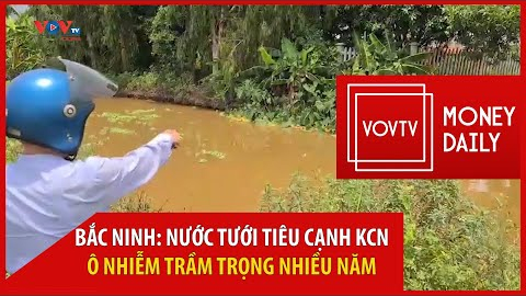 Bản tin Kinh tế - Bất động sản 15/04/2022