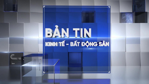 Bản tin Kinh tế - Bất động sản ngày 10/8