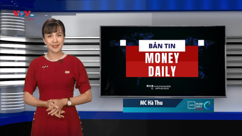 Bản tin Kinh tế - Bất động sản ngày 16/8/2024