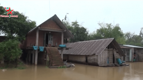 Bản tin Nhịp sống thường ngày 11/11/2019