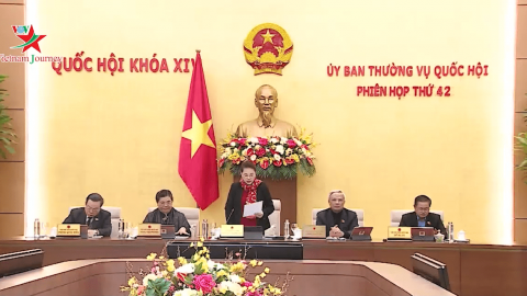 Bản tin Nhịp sống thường ngày 14/02/2020