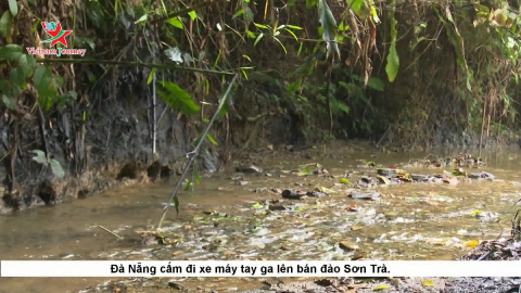 Bản tin Nhịp sống thường ngày 16/10/2019