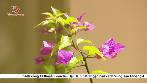 Bản tin Nhịp sống thường ngày 21/11/2019