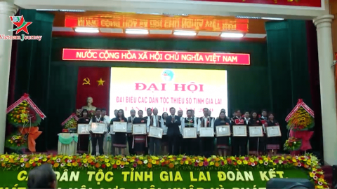 Bản tin Nhịp sống thường ngày 26/11/2019