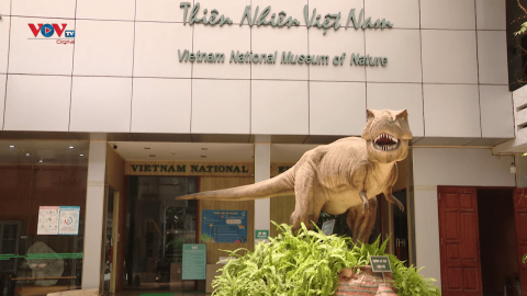 Bảo tàng Thiên nhiên Việt Nam – Thế giới động thực vật thu nhỏ giữa lòng Thủ đô