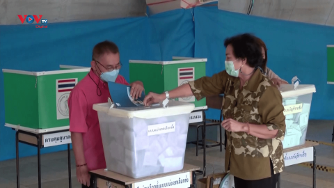 Bầu cử Thái Lan: Kiểm phiếu lại không thay đổi kết quả sơ bộ