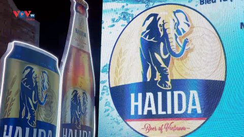 "Bia con voi" Halida cải tiến toàn diện từ trong ra ngoài