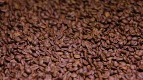 Cà phê Arabica – “Hạt ngọc nâu” của tỉnh Lâm Đồng