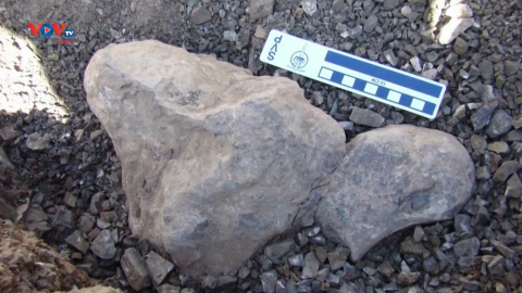 Các nhà khoa học Chile phát hiện ra xương của loài khủng long tại sa mạc khô cằn nhất thế giới