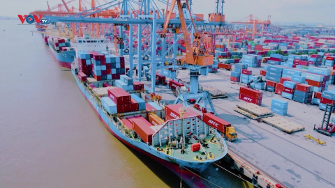 Cảng Đình Vũ – Nơi giao thương phát triển kinh tế biển