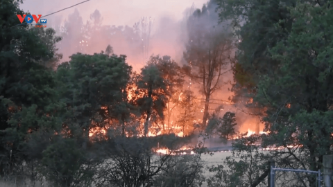 Cháy rừng hoành hành tại bang California