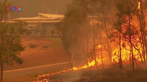 Cháy rừng mùa hè đen tại Australia làm suy giảm tầng ozone
