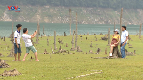 Check-in bãi cọ độc đáo tại lòng hồ thủy điện Tuyên Quang